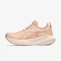 ASICS GEL-NIMBUS 25 