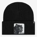 Goorin Bros Panther Vision 
