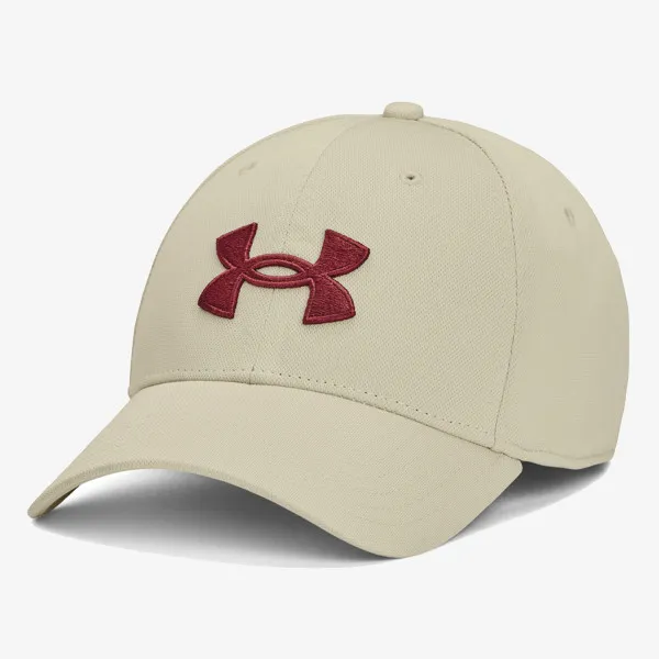 Under Armour Men's UA Blitzing 