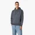 Champion Hooded Sweatshirt 
