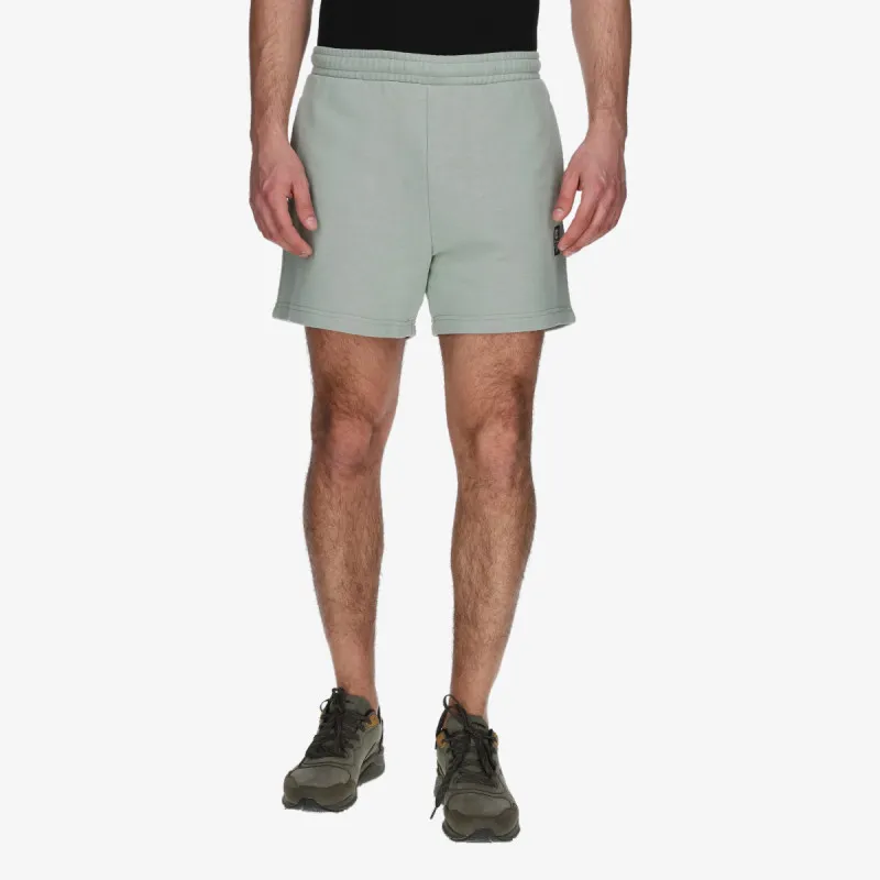 Champion Shorts 