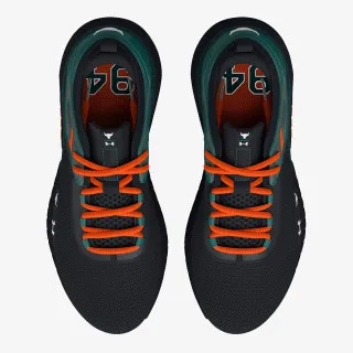 Under Armour UA PROJECT ROCK 5 