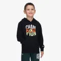 Champion Hooded Sweatshirt 
