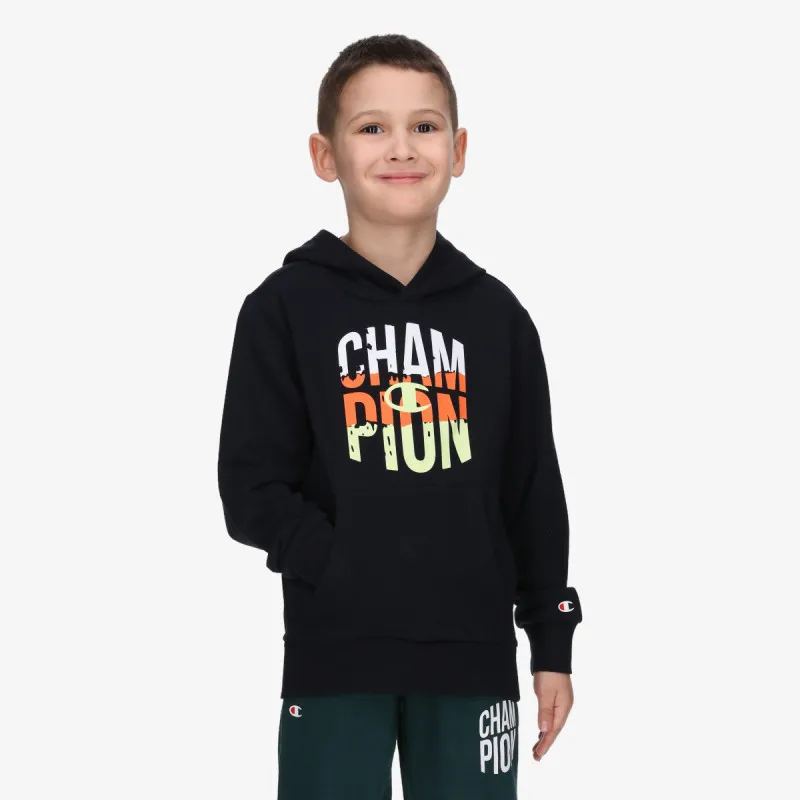 Champion Hooded Sweatshirt 