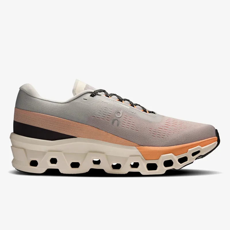 On Cloudmonster 2 