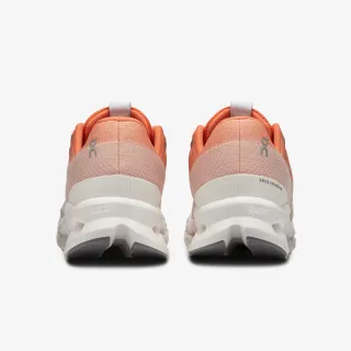 On Cloudsurfer 