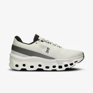 On Cloudmonster 2 