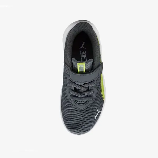 Puma FlexFocus Modern 