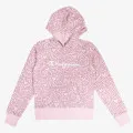 Champion Hooded Sweatshirt 