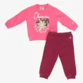 Champion Sweatsuit 