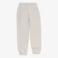 Jordan JDG WJ BRKN FT  PANT 