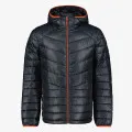 Icepeak DOWNLOOK 