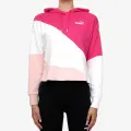 Puma PUMA POWER Cat Hoodie TR 