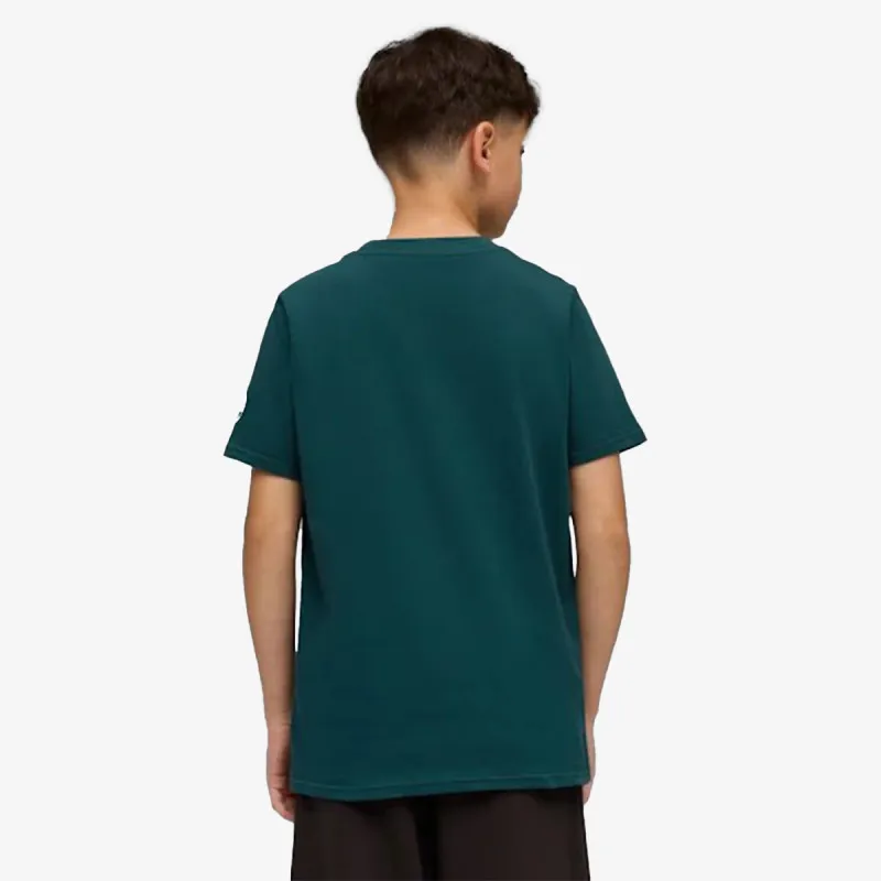 Puma Manchester City 