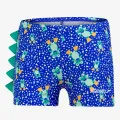 Speedo ALOV ASHT IM BLUE/GREEN 
