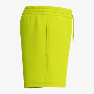 Speedo Essentials 