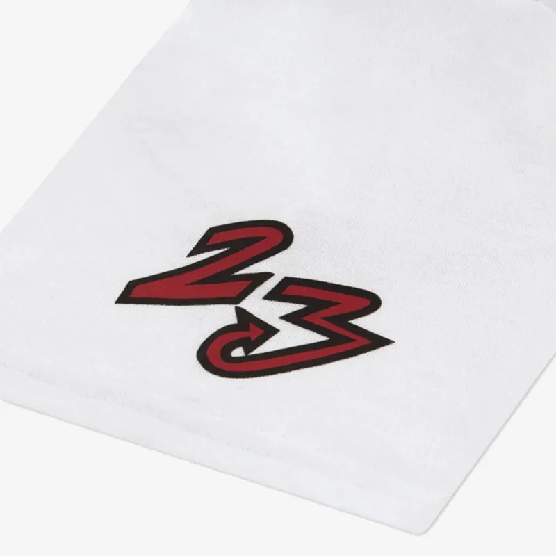 Jordan Dynasty Patch 