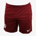 Nike M NK FLX SHORT VENT MAX 2.0 