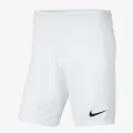 Nike Y NK DF PARK III SHORT NB K 