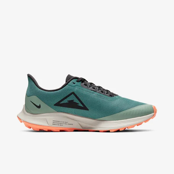 Nike W ZOOM PEGASUS 36 TRAIL GTX 