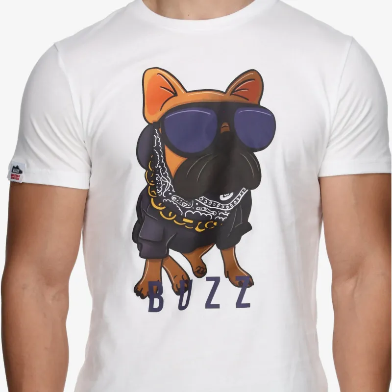 Buzz Paco Frenchie 