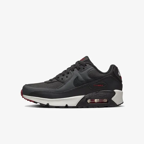 Nike Air Max 90 LT 