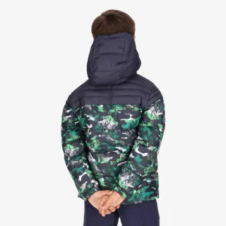 Champion ELMER 