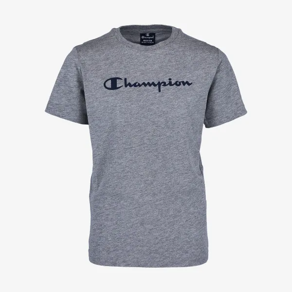 Champion BASIC 