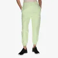 Champion NEON 