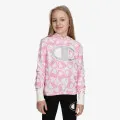 Champion GIRLS ROCH INSP HOODY 