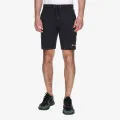 Champion Basic 