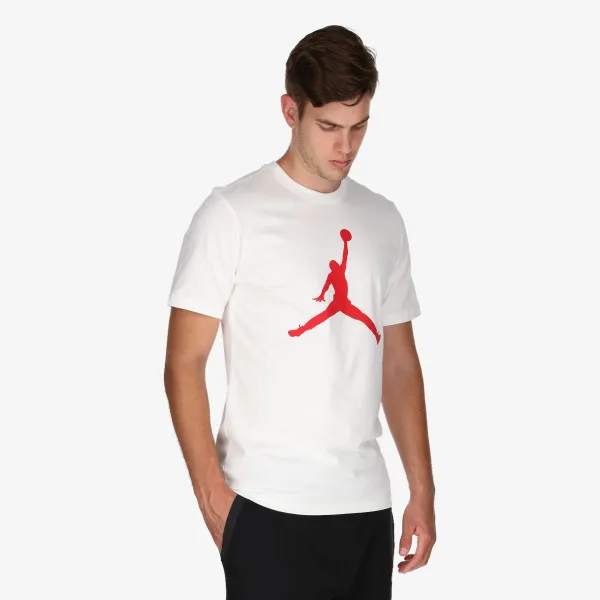 Nike Jordan Jumpman Men's T-Shirt 