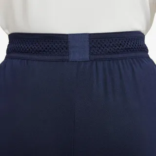 Nike Paris Saint-Germain Strike Home 