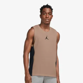 Nike JORDAN DRI-FIT AIR STATEMENT 