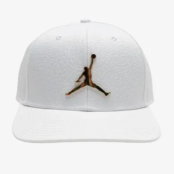 Nike JORDAN PRO ELE INGOT CAP 