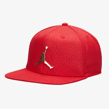 JORDAN PRO ELE INGOT CAP