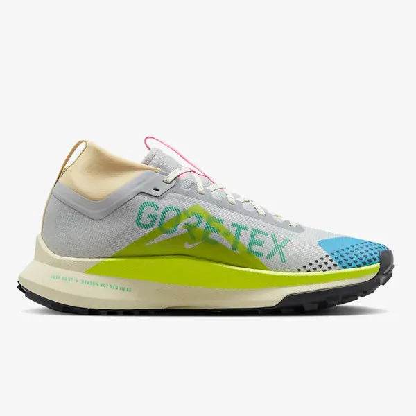 Nike Pegasus Trail 4 GORE-TEX 