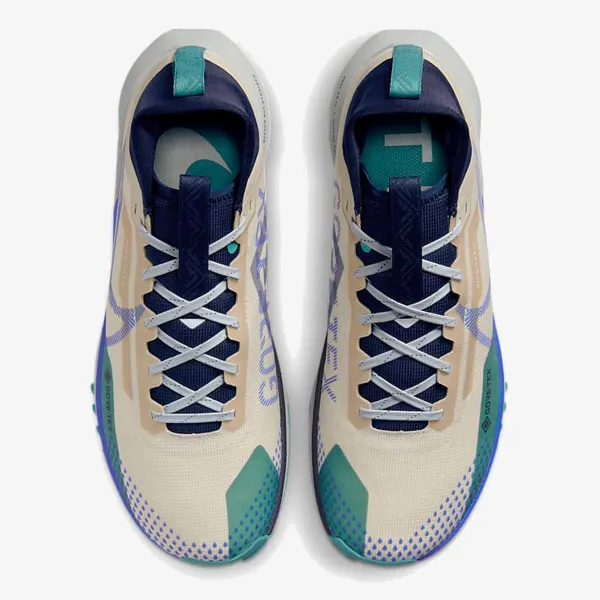 Nike Pegasus Trail 4 GORE-TEX 