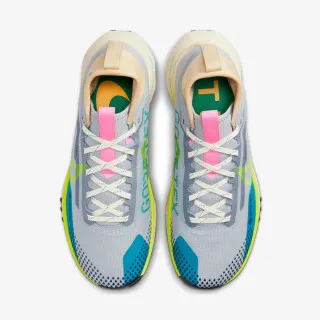 Nike Pegasus Trail 4 GORE-TEX 