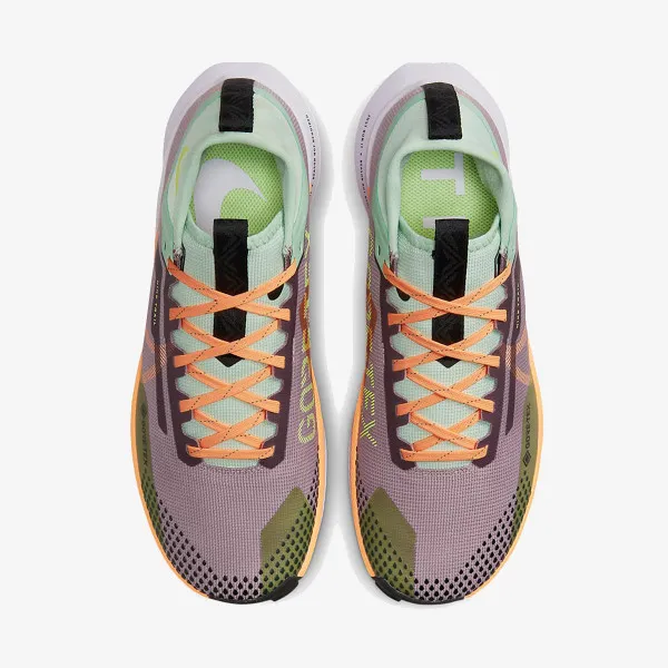 Nike Pegasus Trail 4 GORE-TEX 