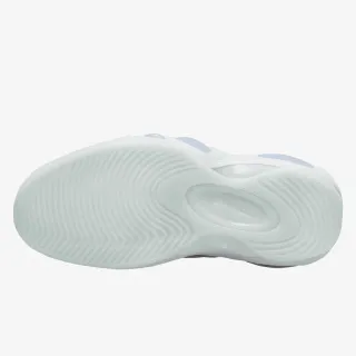 Nike AIR ZOOM FLIGHT 95 NAS 