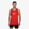 Nike Icon 
