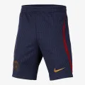 Nike PSG Y NK DF STRK SHORT KZ 