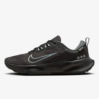 Nike WMNS JUNIPER TRAIL 2 GTX 