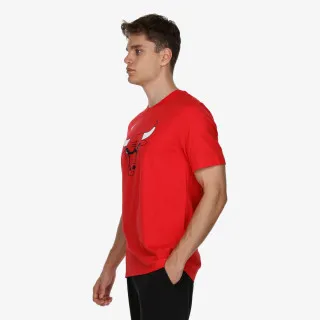 Nike Chicago Bulls 