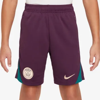 Nike Paris Saint-Germain 