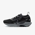 Nike Pegasus Trail 5 Gtx 