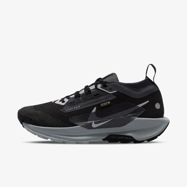 Nike Pegasus Trail 5 Gtx 