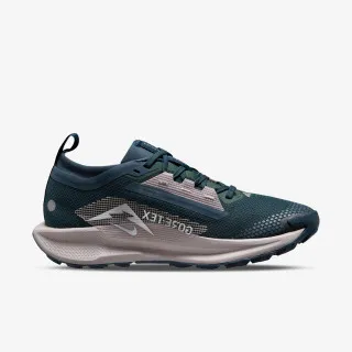 Nike Pegasus Trail 5 Gtx 