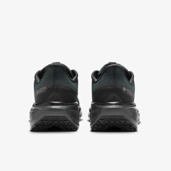 Nike AIR ZM PEGASUS 41 GTX 